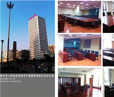 武漢市人民政府國有資產監督管理委員會