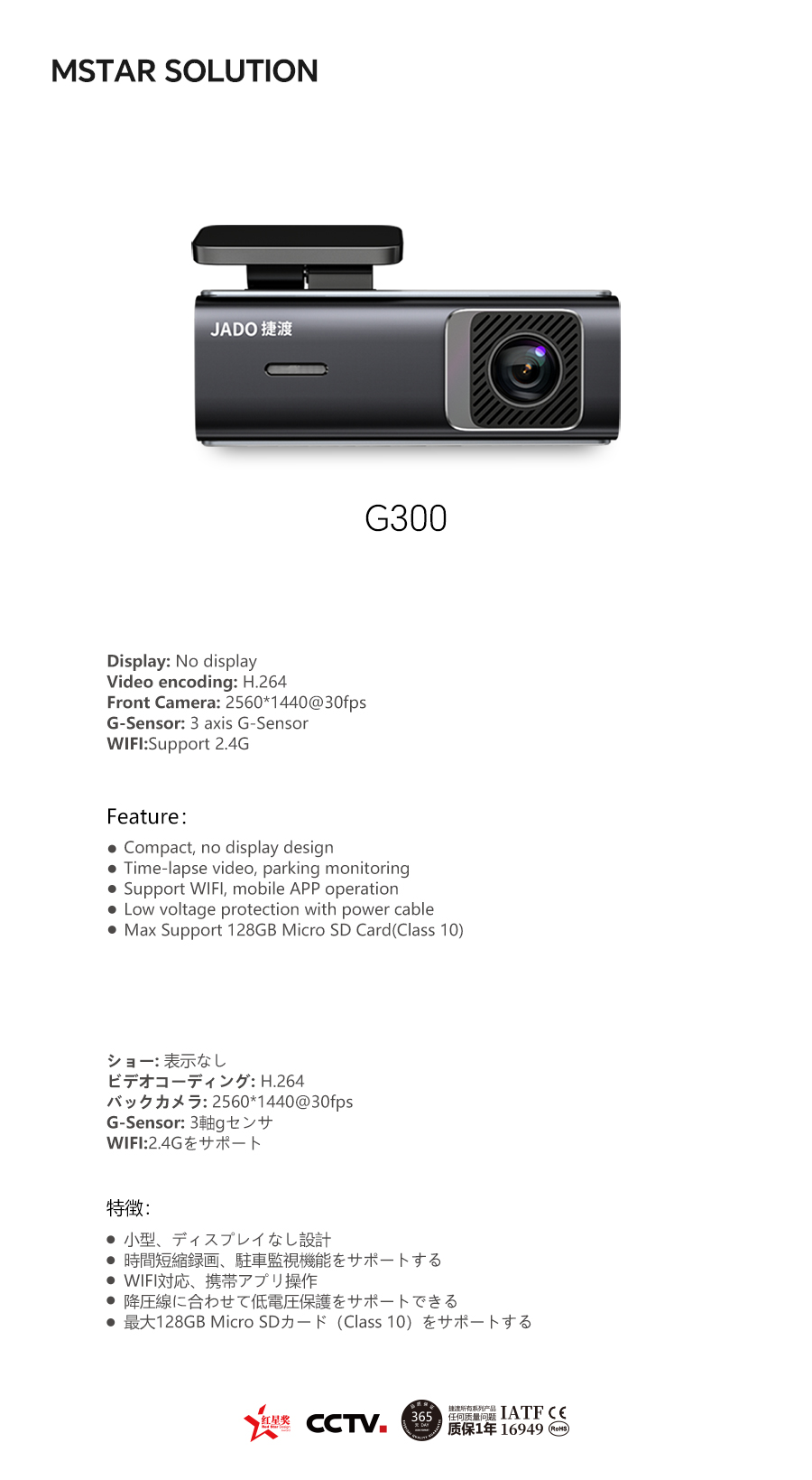 06-G300.jpg