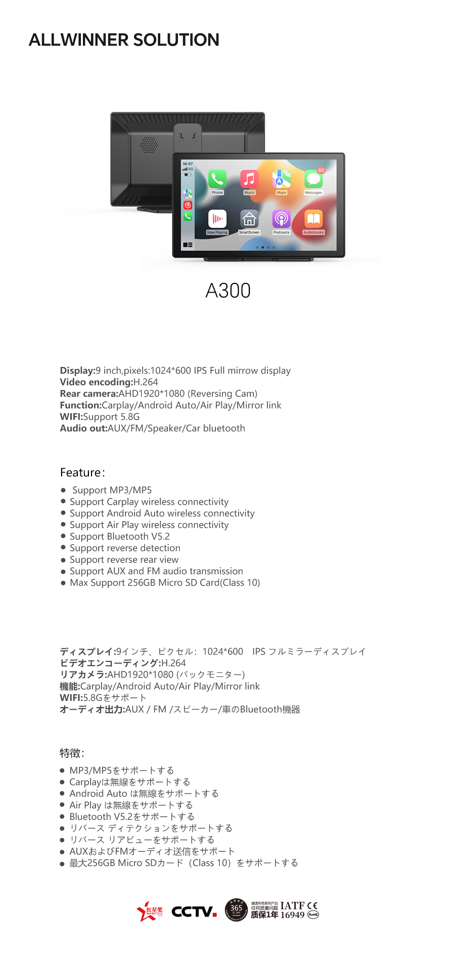 06-A300.jpg